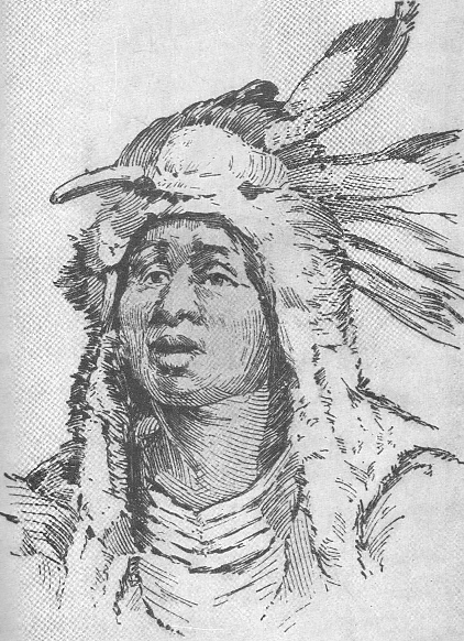 The Baldwin Project: Famous Indian Chiefs I Have Known by Oliver Otis ...